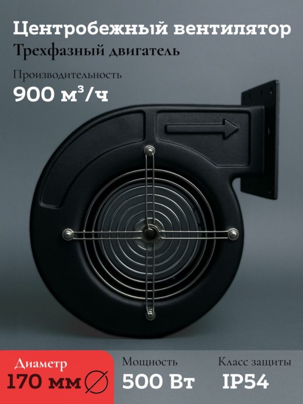 Вентилятор радиальный вытяжной промышленный 500Вт 170FLJ7-500/220 220В — общий вид